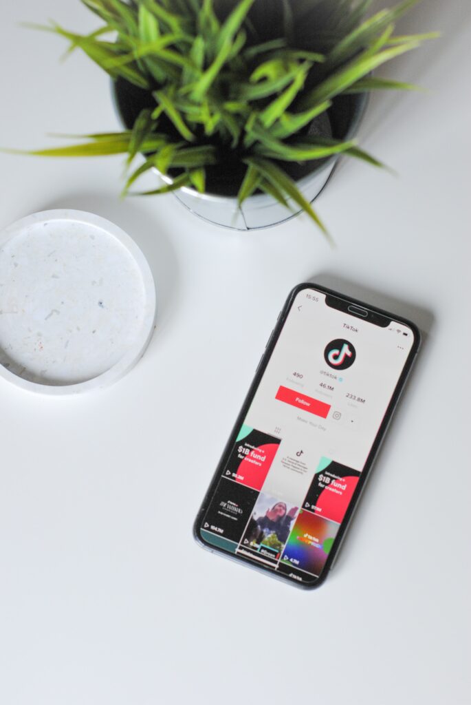 image of a Tik Tok account profile (mentioned earlier in my reflection of the biggest social media platform currently)